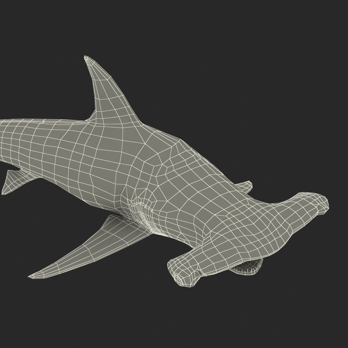 Great Hammerhead Shark Pose 2 3D model