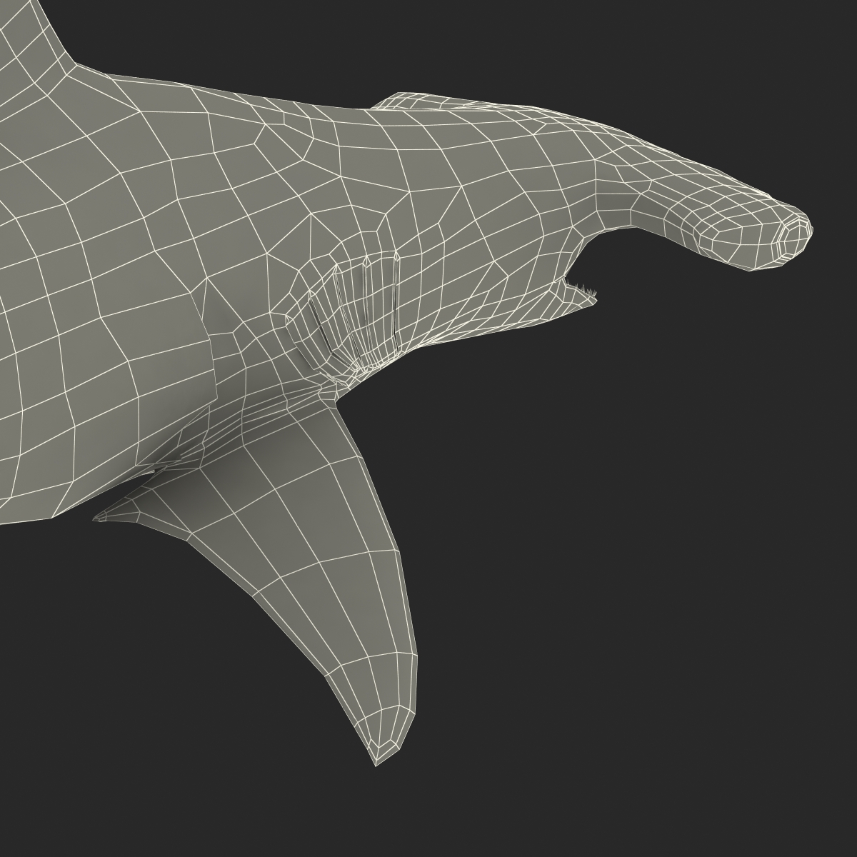 Great Hammerhead Shark Pose 2 3D model