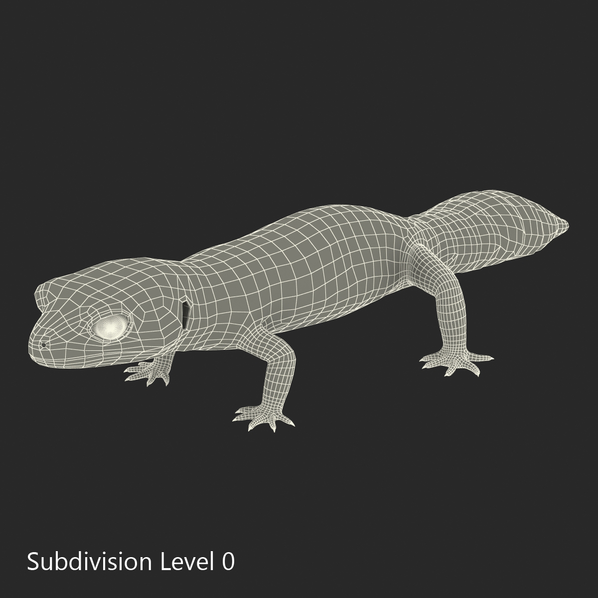 3D model Leopard Gecko Rigged