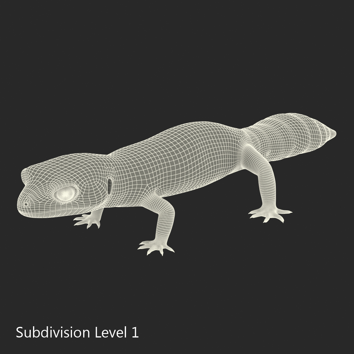 3D model Leopard Gecko Rigged