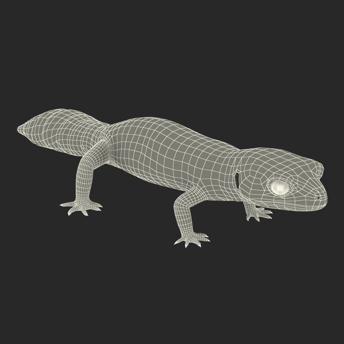 3D model Leopard Gecko Rigged