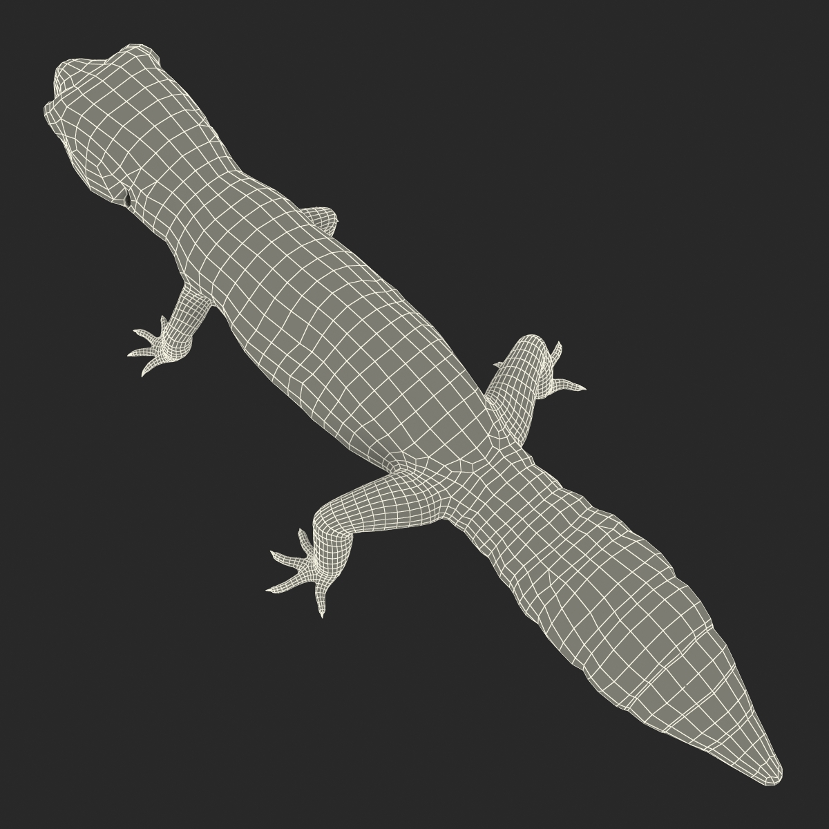 3D model Leopard Gecko Rigged