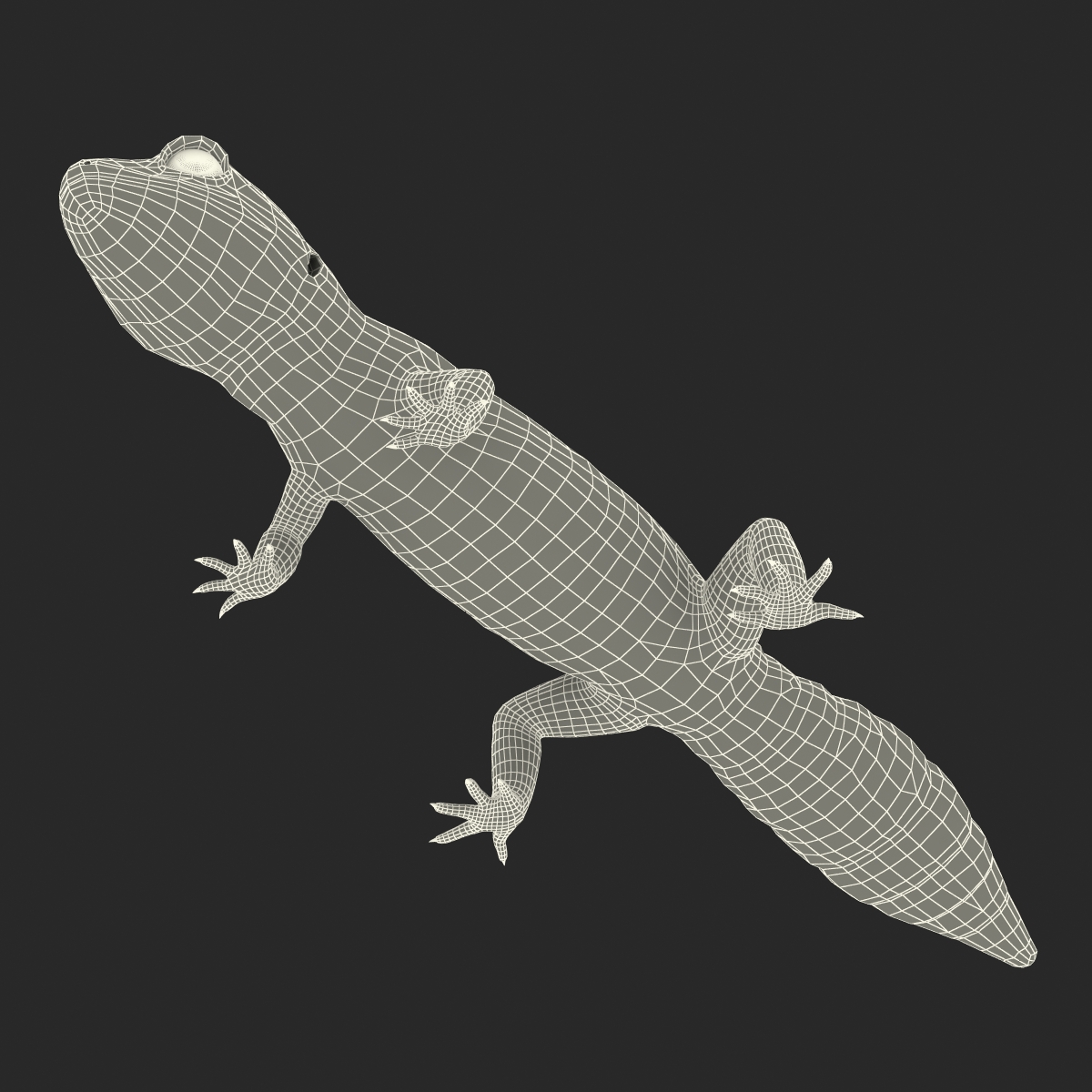 3D model Leopard Gecko Rigged