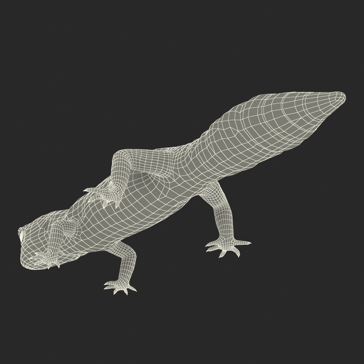 3D model Leopard Gecko Rigged