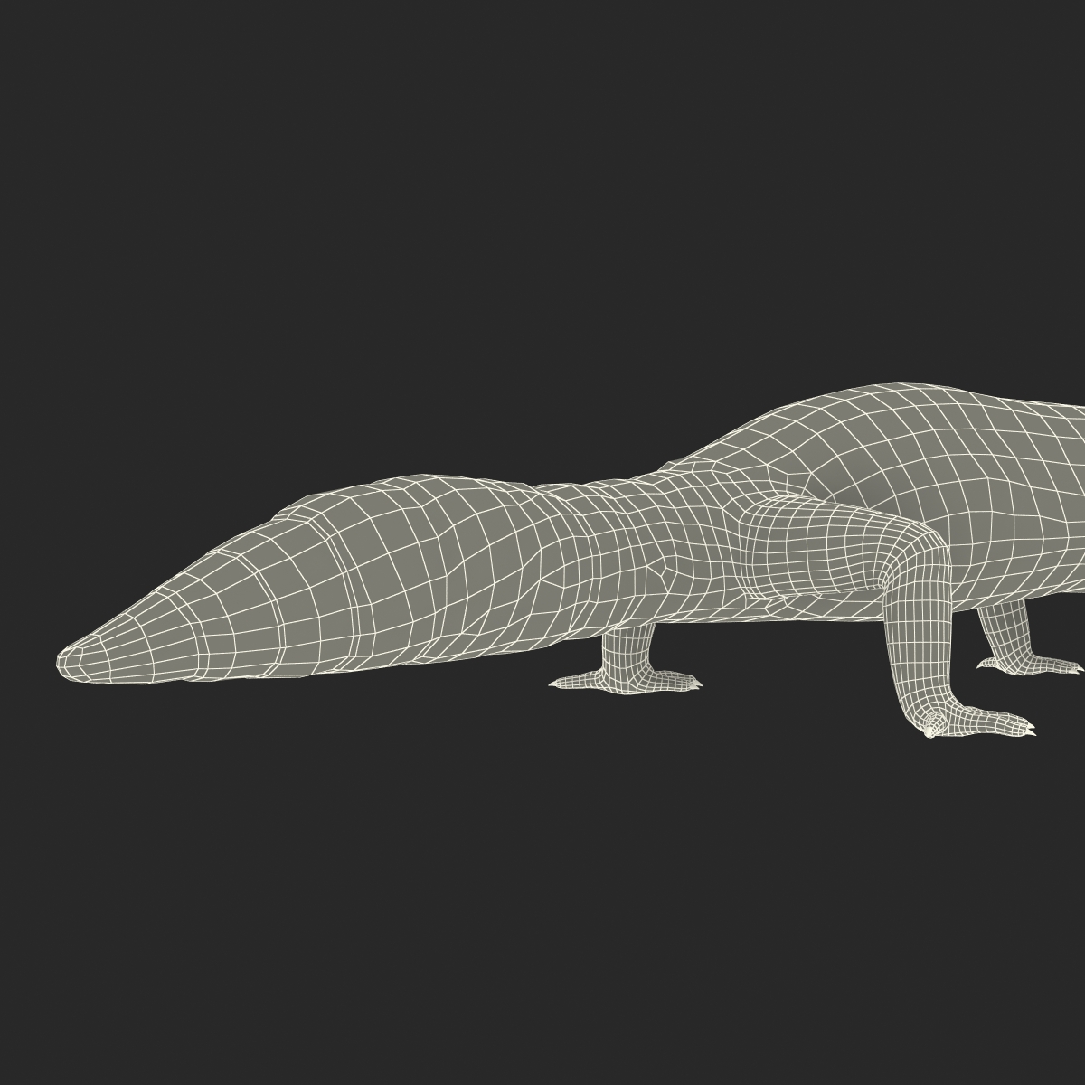 3D model Leopard Gecko Rigged