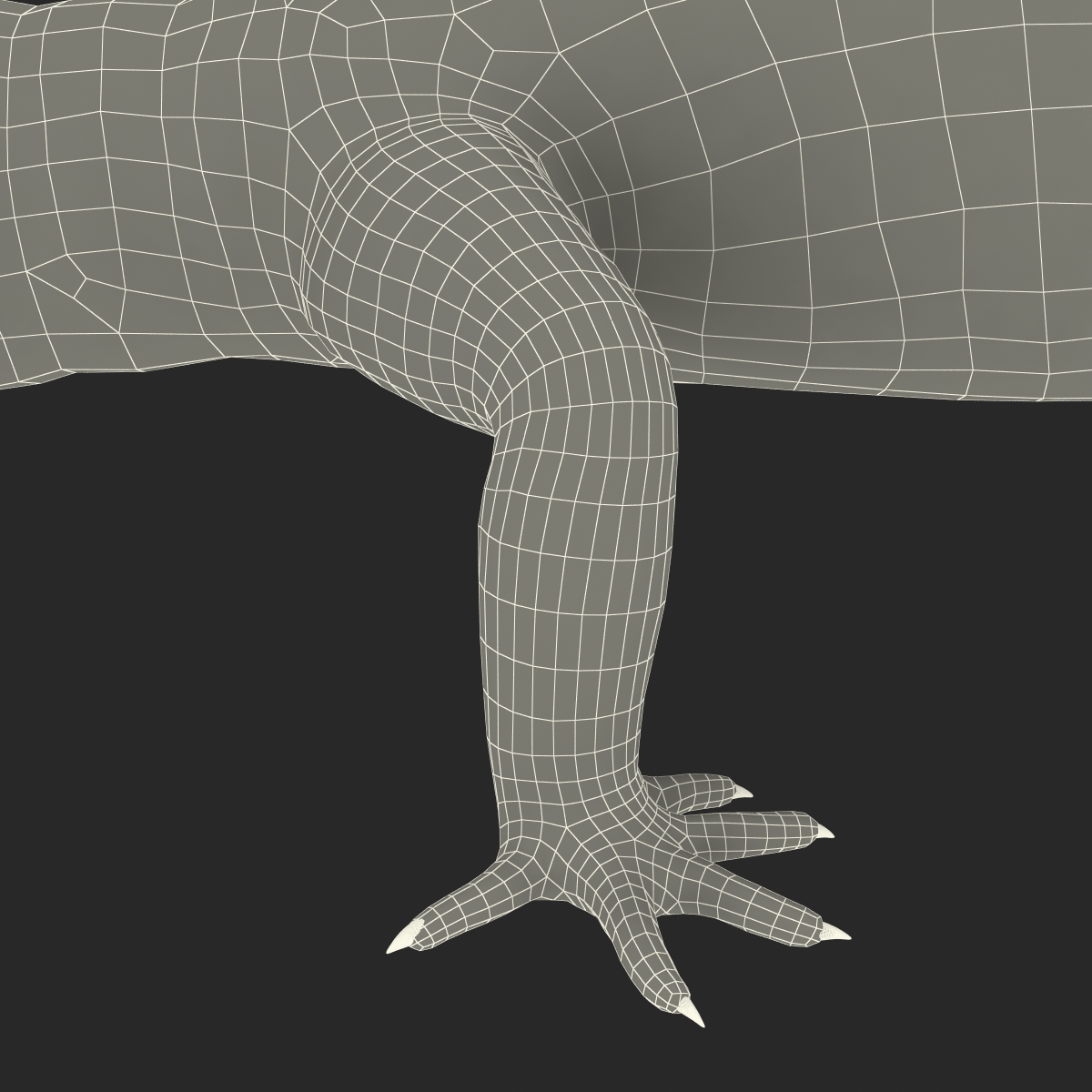 3D model Leopard Gecko Rigged