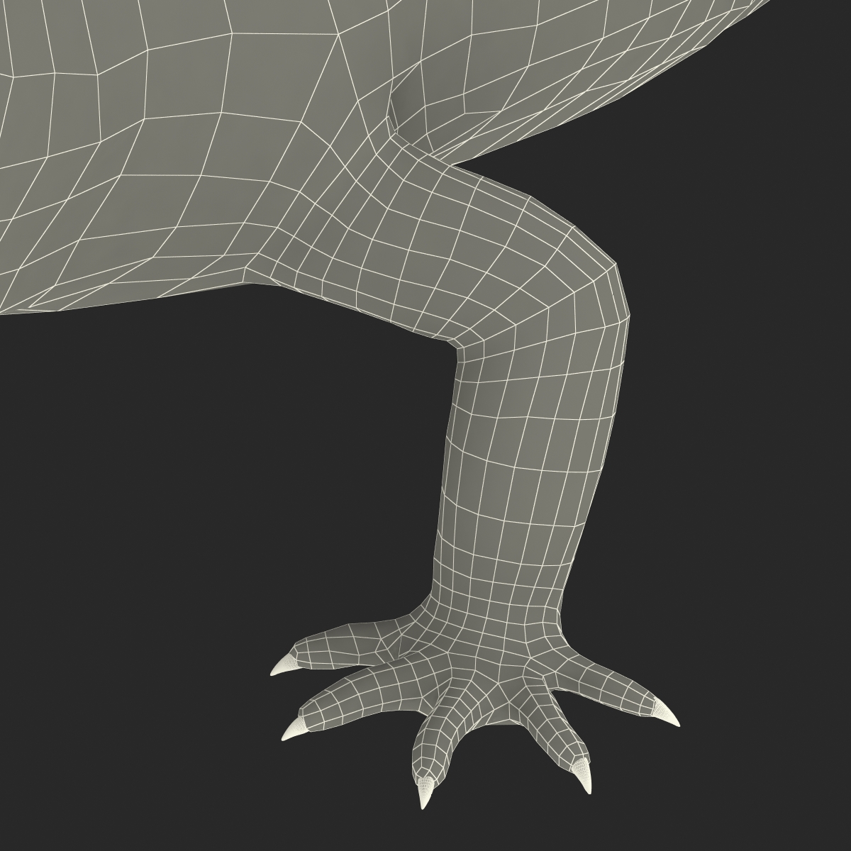 3D model Leopard Gecko Rigged