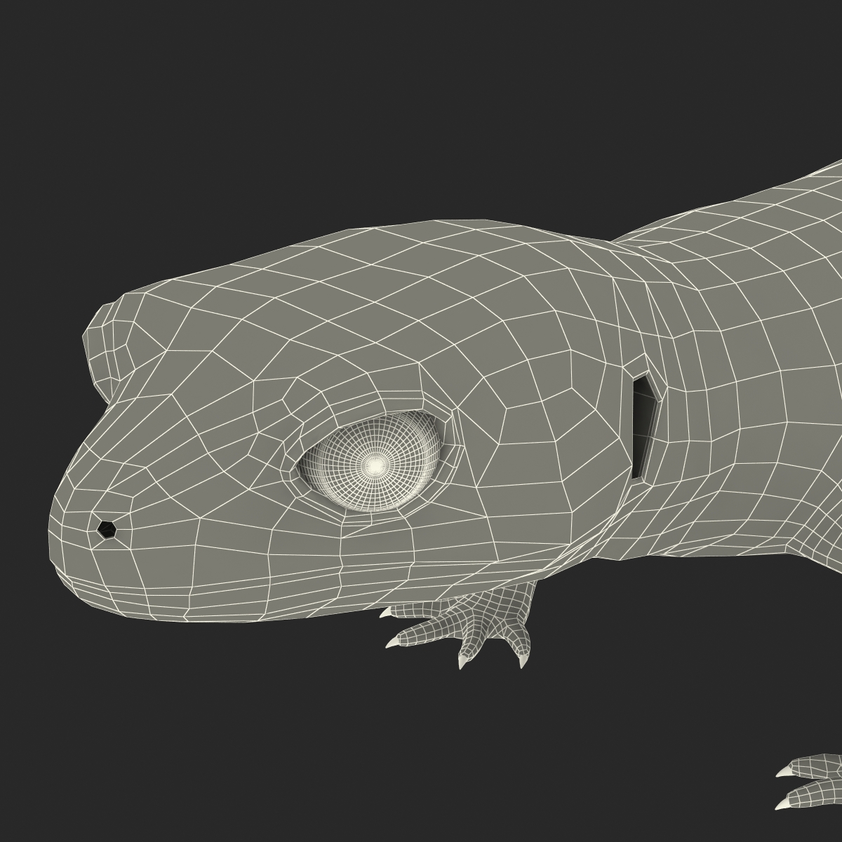 3D model Leopard Gecko Rigged