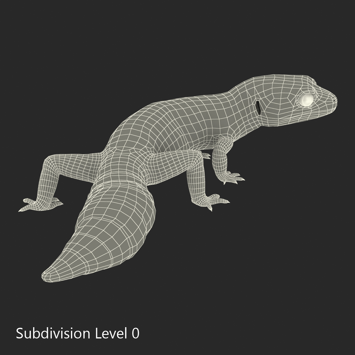 3D model Leopard Gecko Pose 4