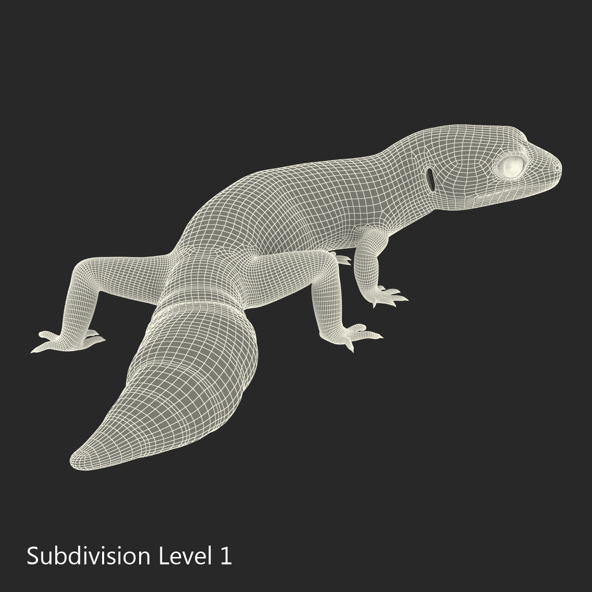 3D model Leopard Gecko Pose 4