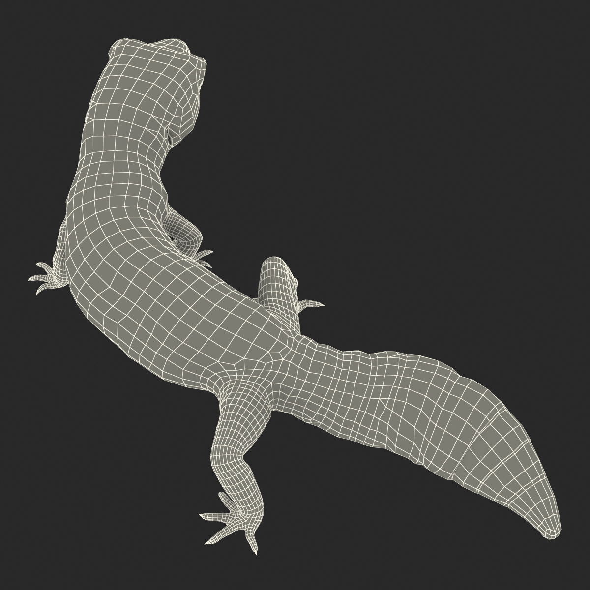 3D model Leopard Gecko Pose 4