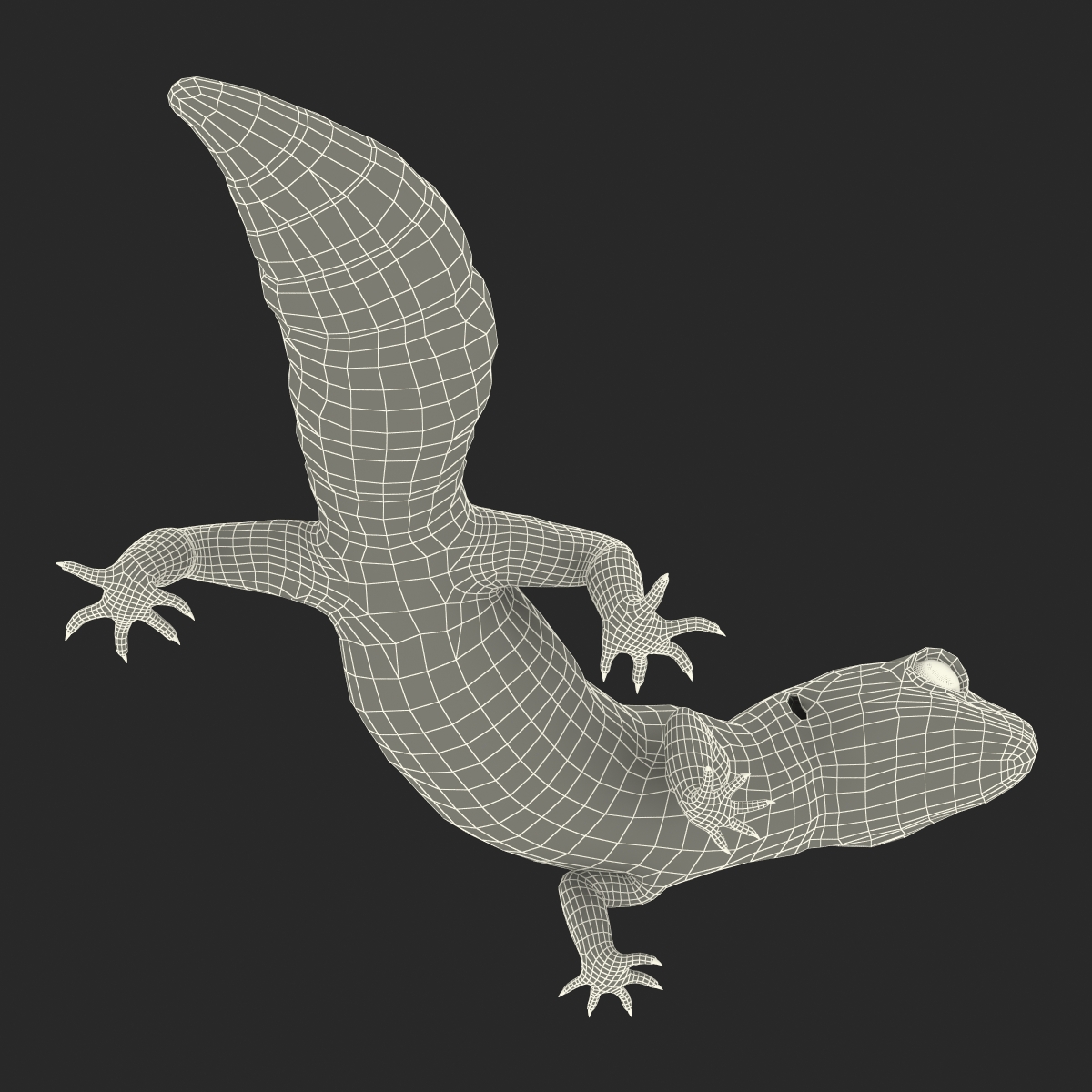 3D model Leopard Gecko Pose 4