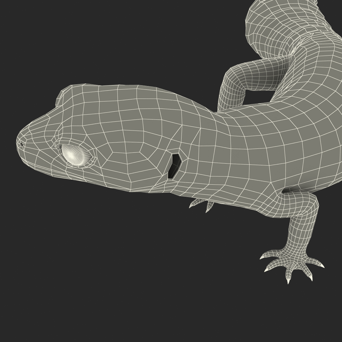 3D model Leopard Gecko Pose 4