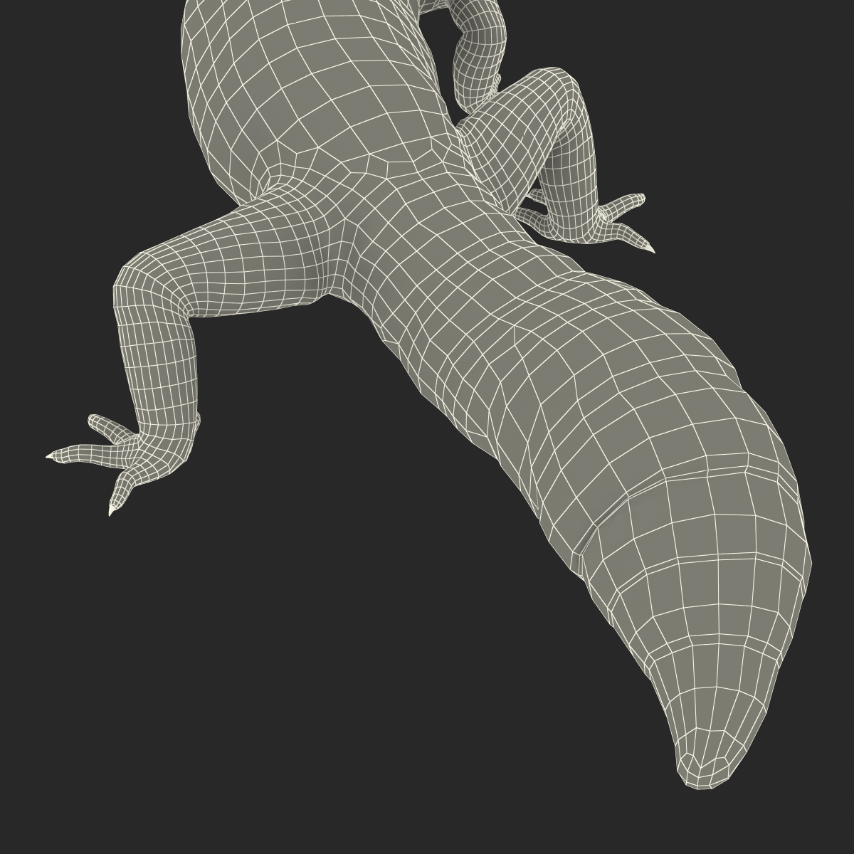 3D model Leopard Gecko Pose 4