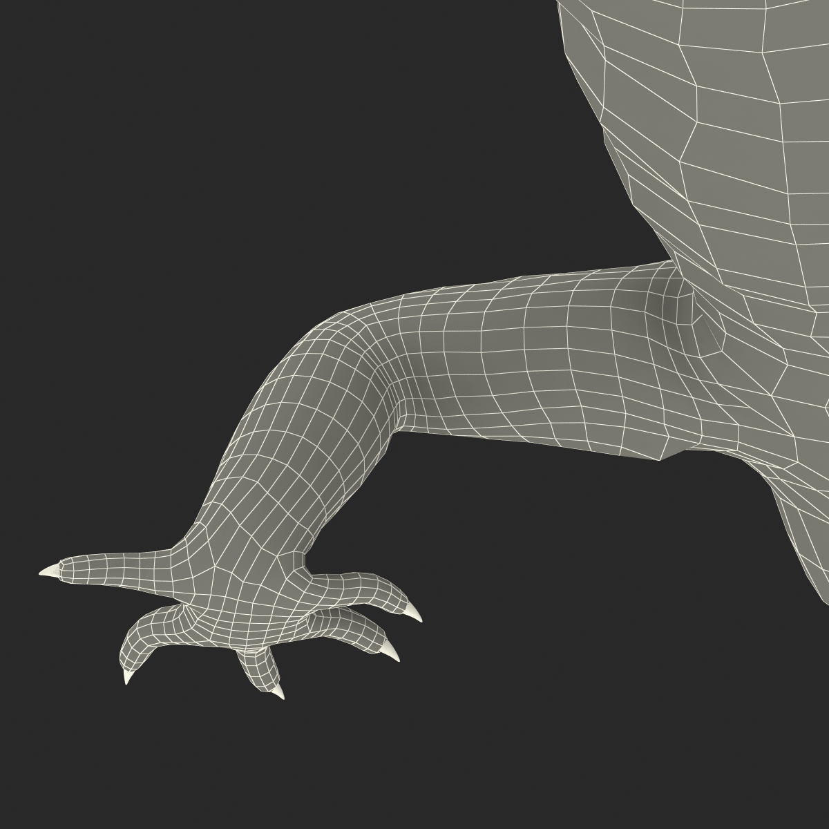 3D model Leopard Gecko Pose 4