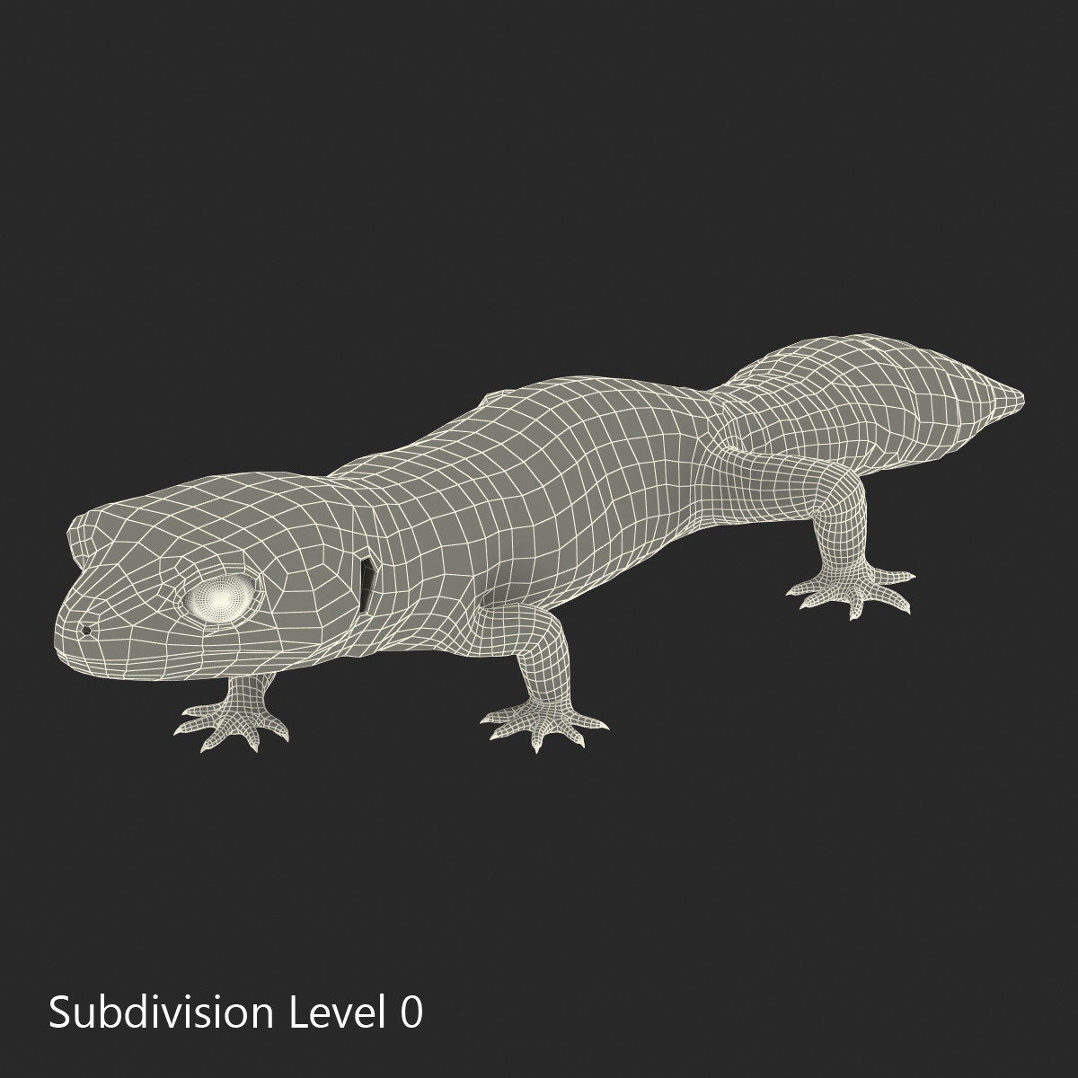 3D model Leopard Gecko Pose 3