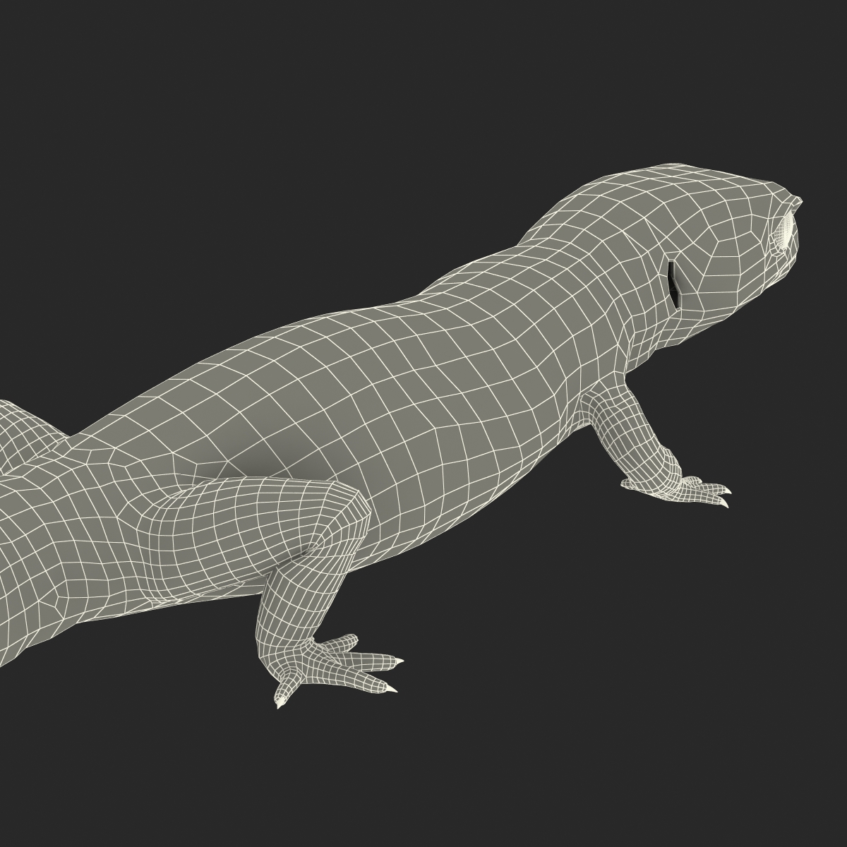 3D model Leopard Gecko Pose 3