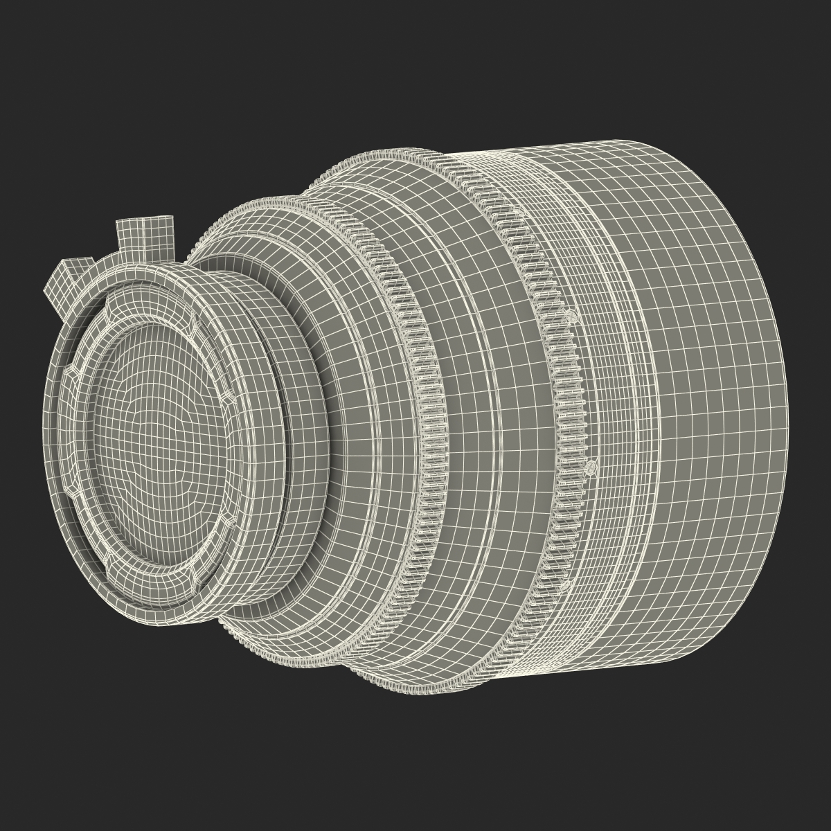 3D model Canon Lens