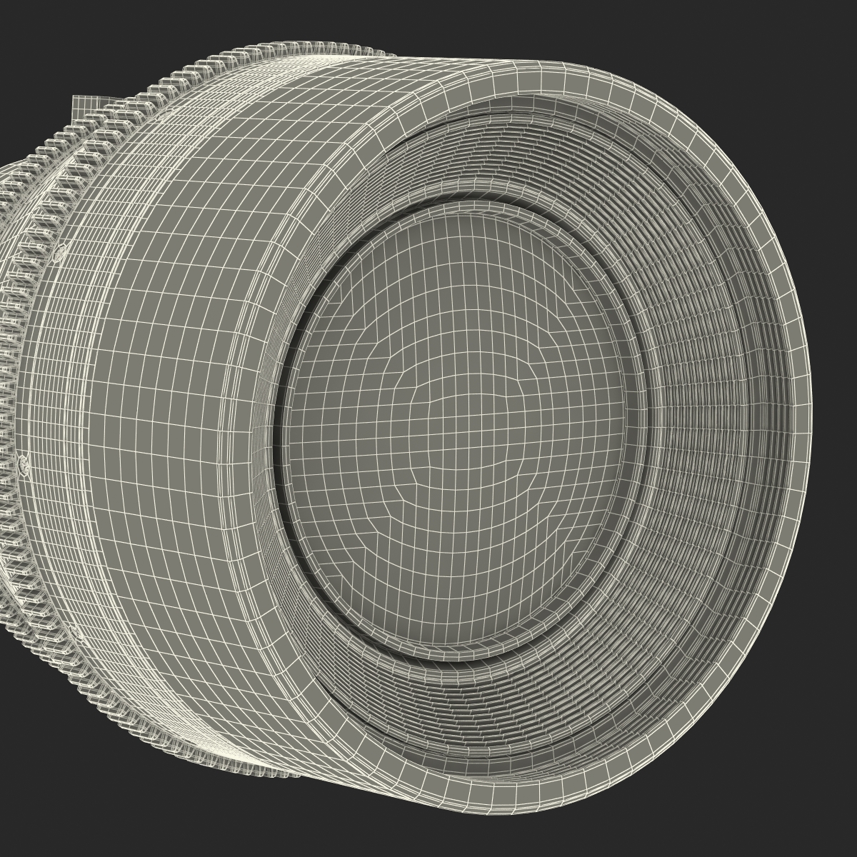 3D model Canon Lens