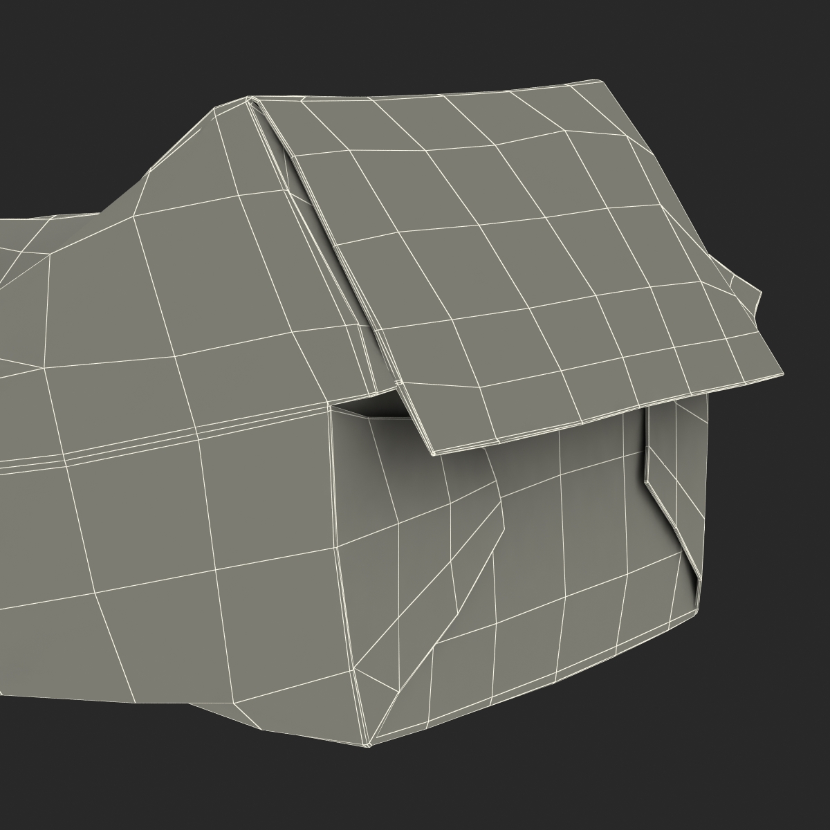 Crumpled Burger Box Generic 3D