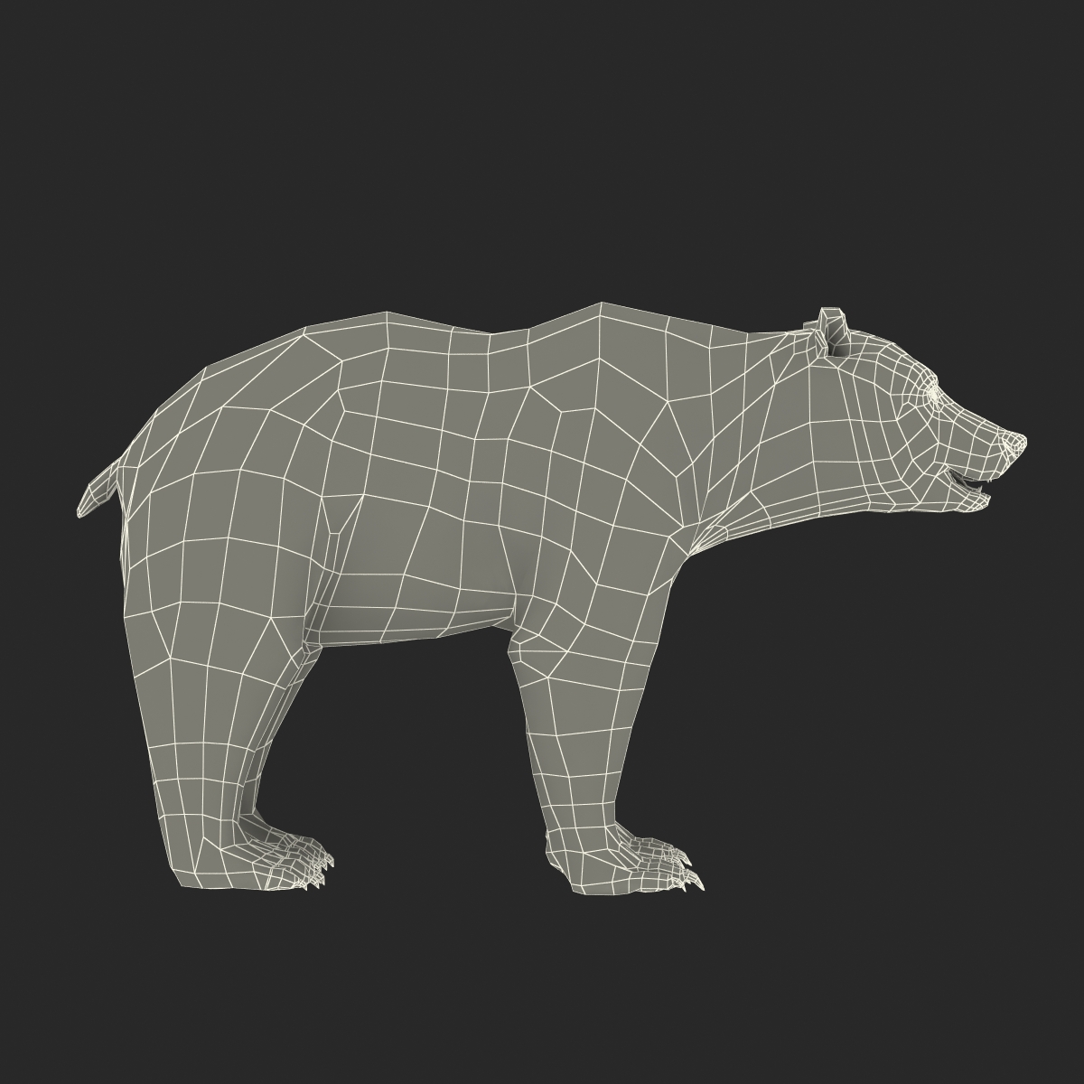 Brown Bear with Fur 3D model