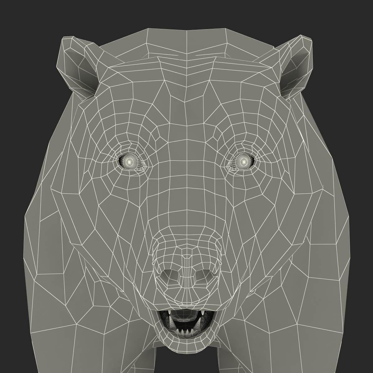 Brown Bear with Fur 3D model