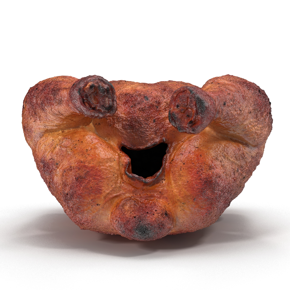 Roasted Turkey 3D model