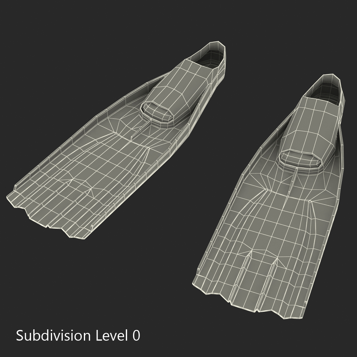 Swim Fins 3D model