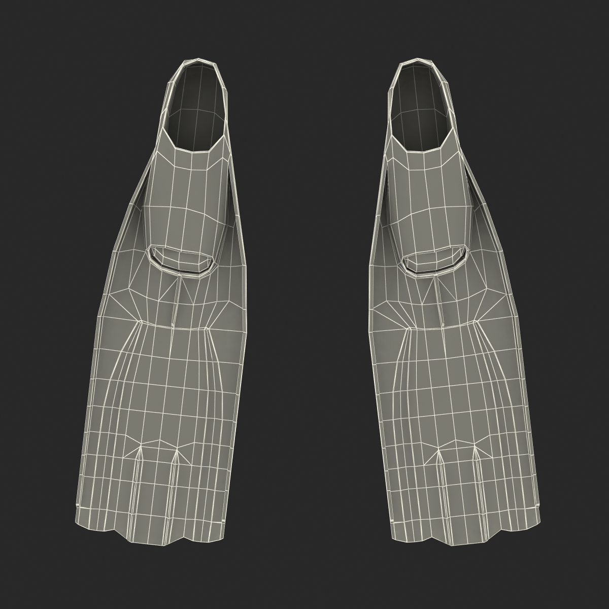 Swim Fins 3D model