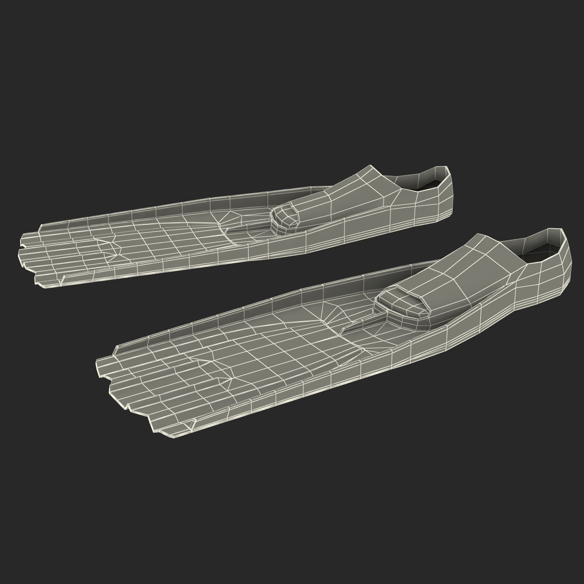 Swim Fins 3D model