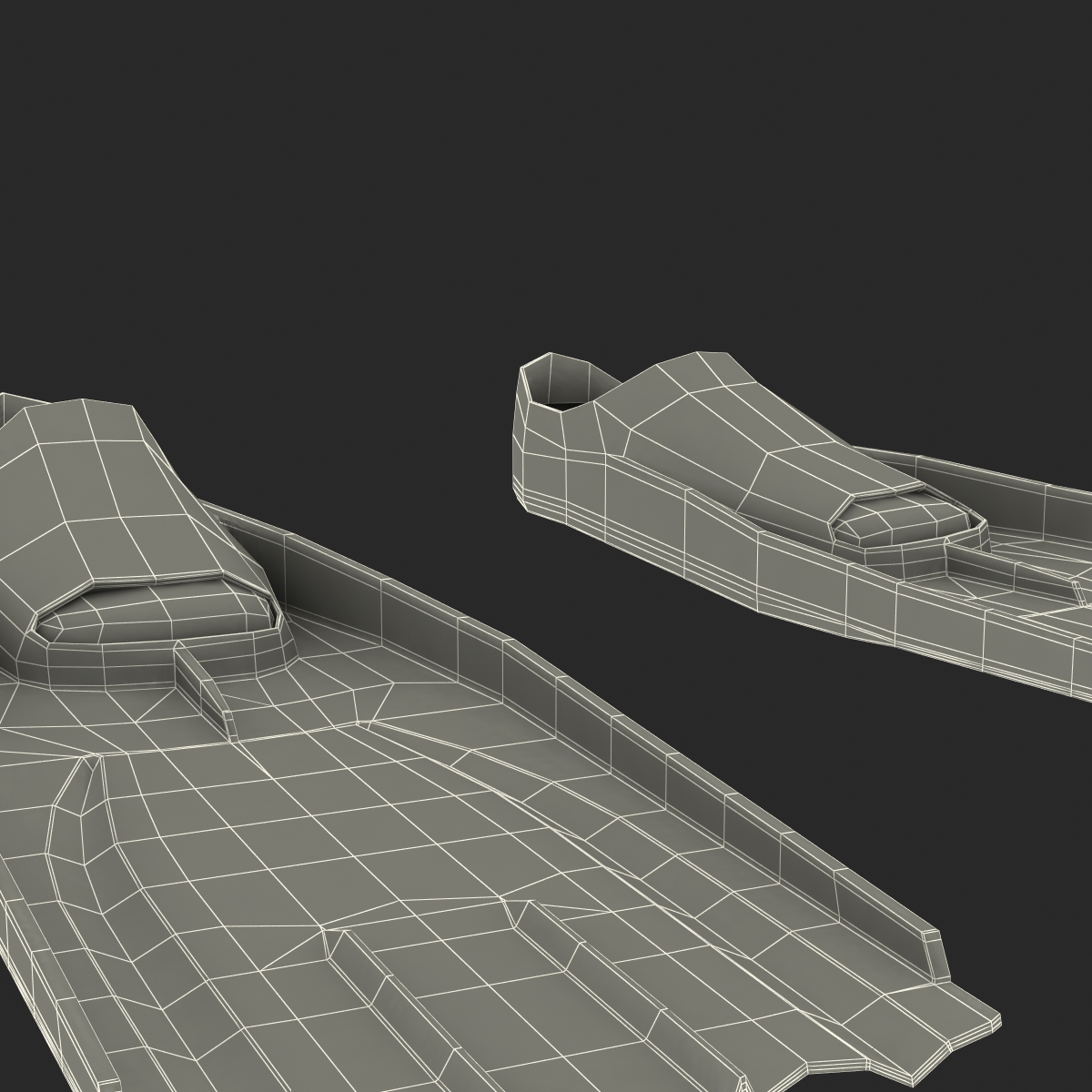 Swim Fins 3D model