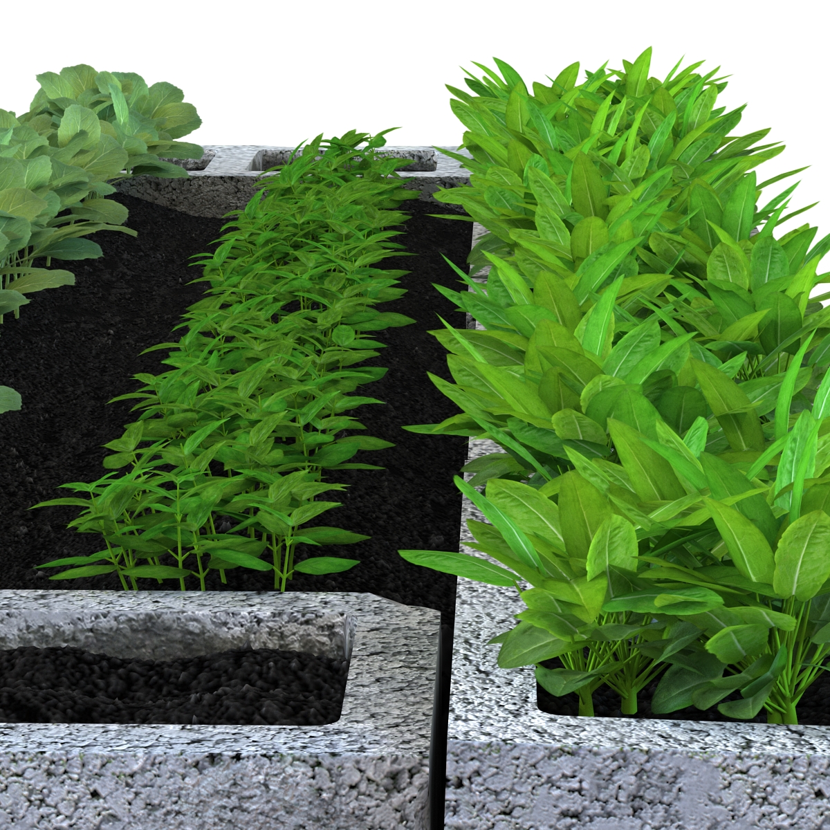 Cinder Block Garden 3D model