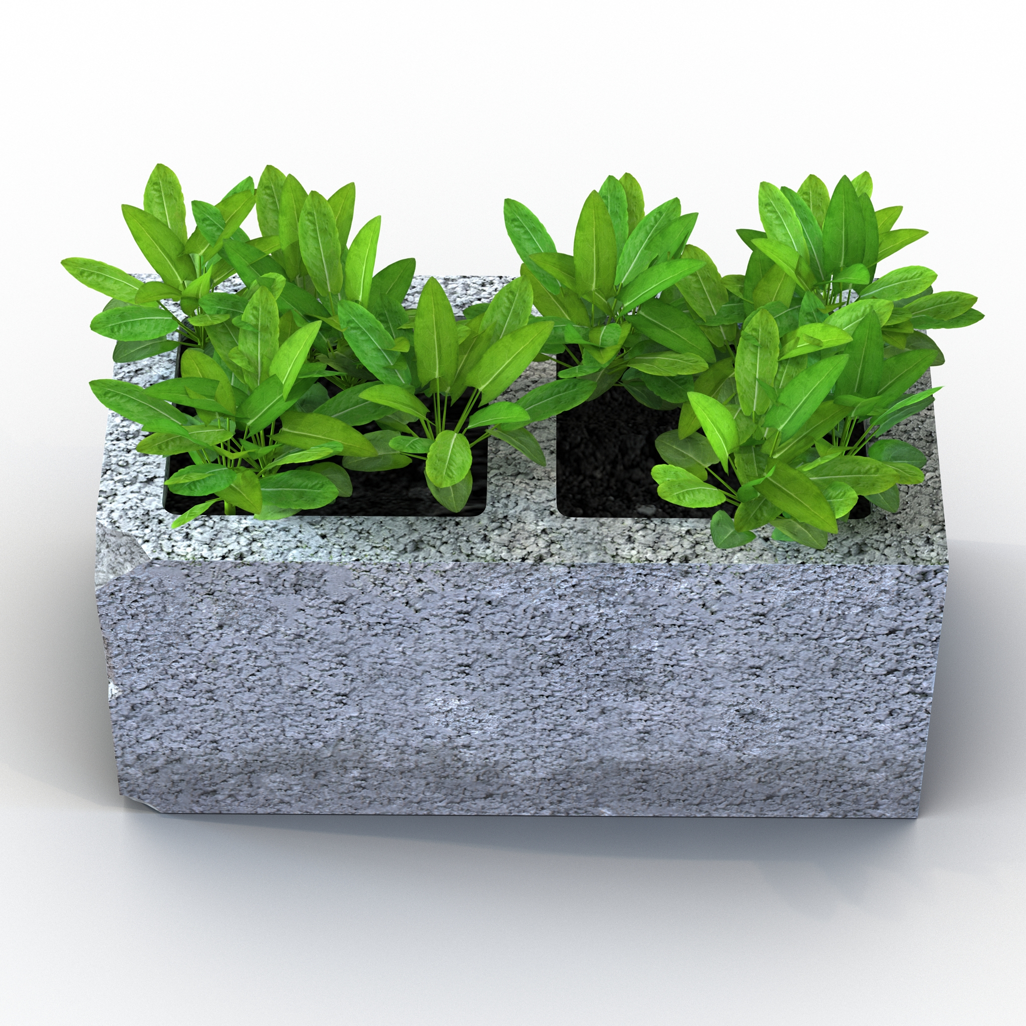 3D Cinder Block Garden 2