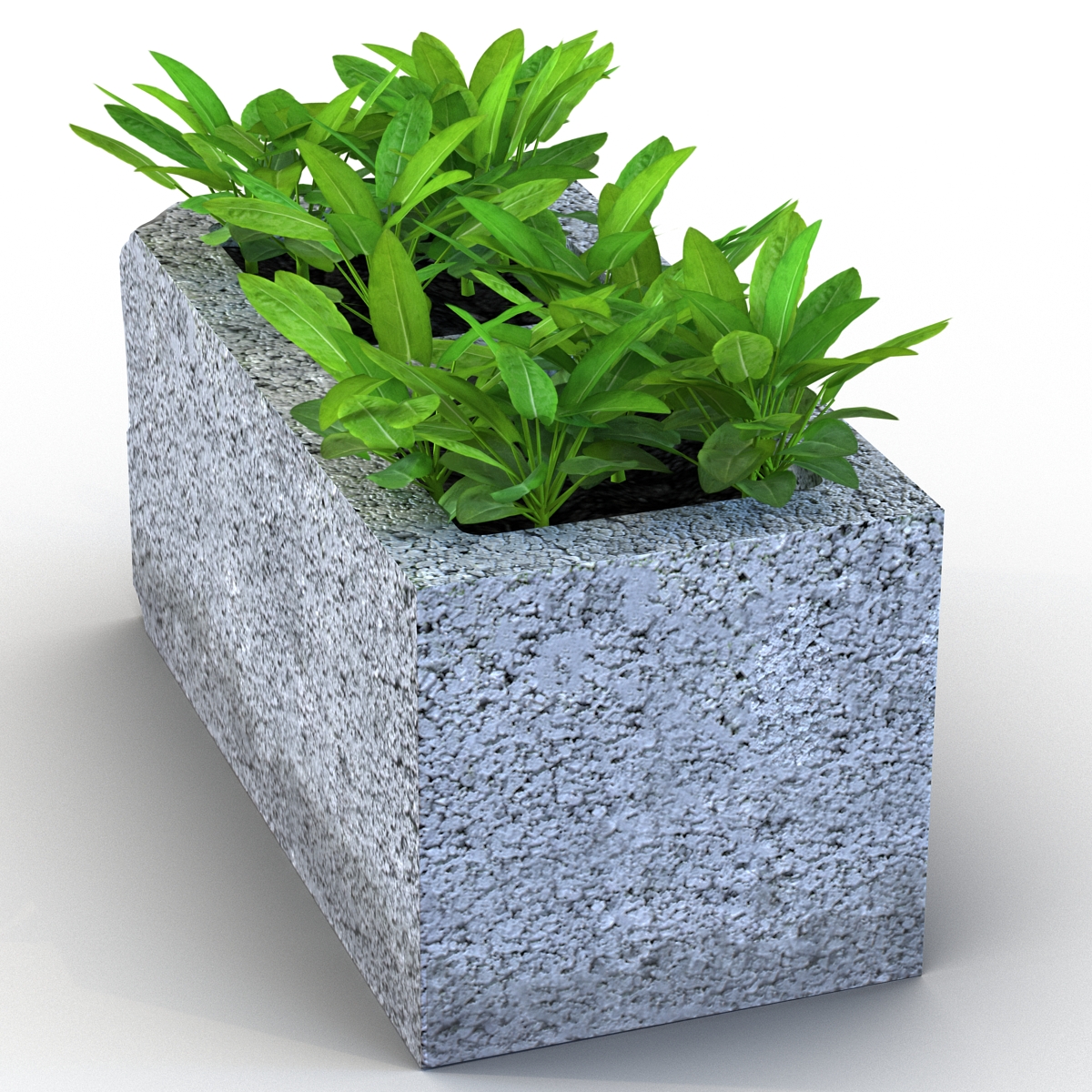 3D Cinder Block Garden 2