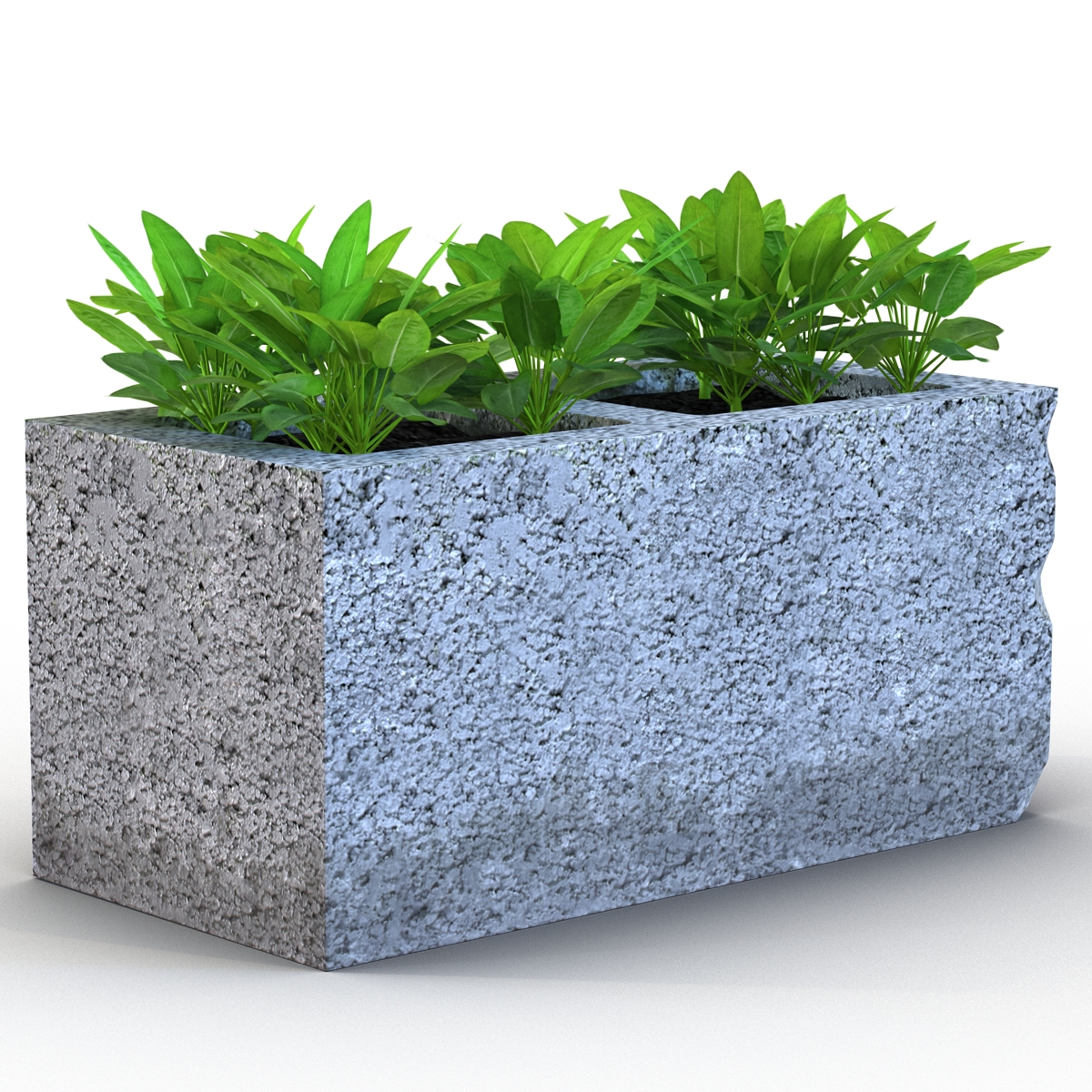 3D Cinder Block Garden 2