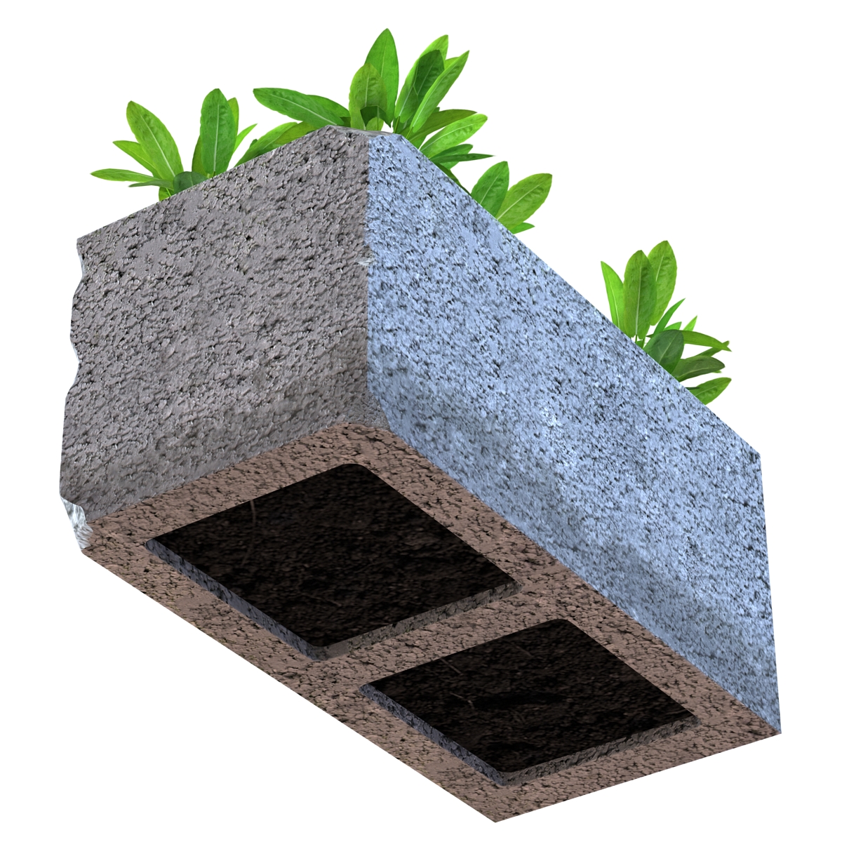 3D Cinder Block Garden 2