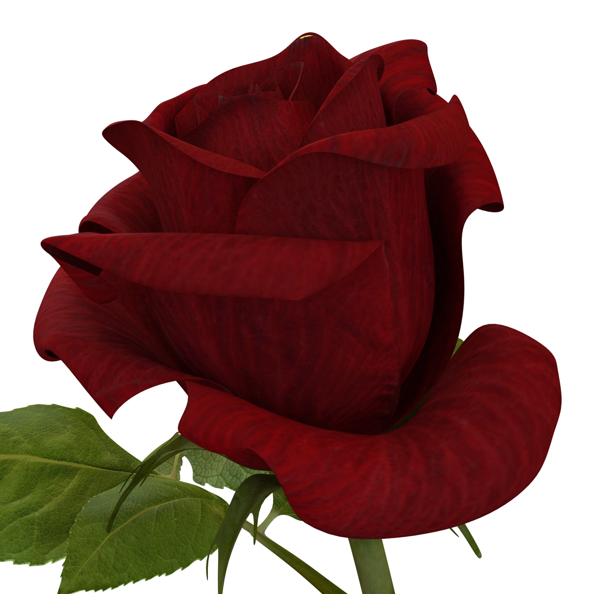 3D model Rose