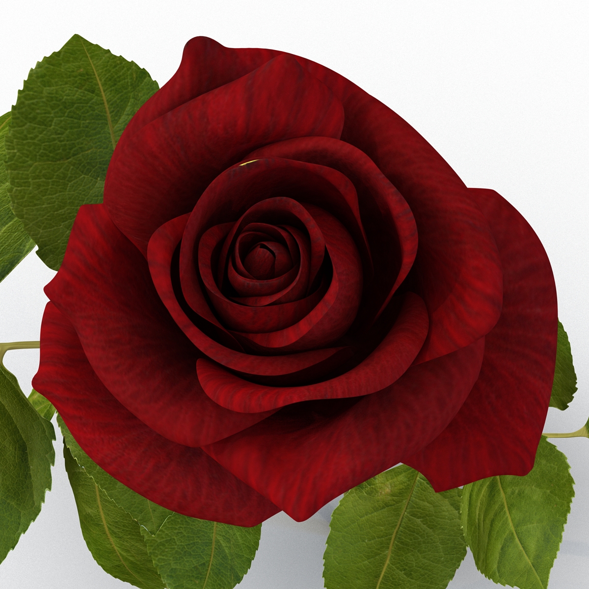 3D model Rose