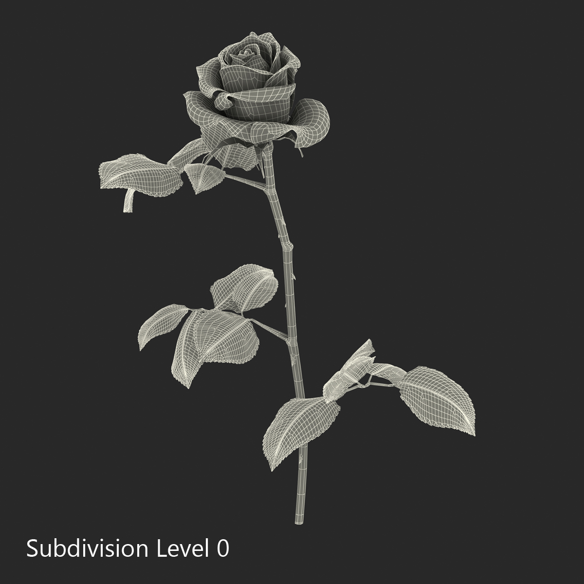 3D model Rose