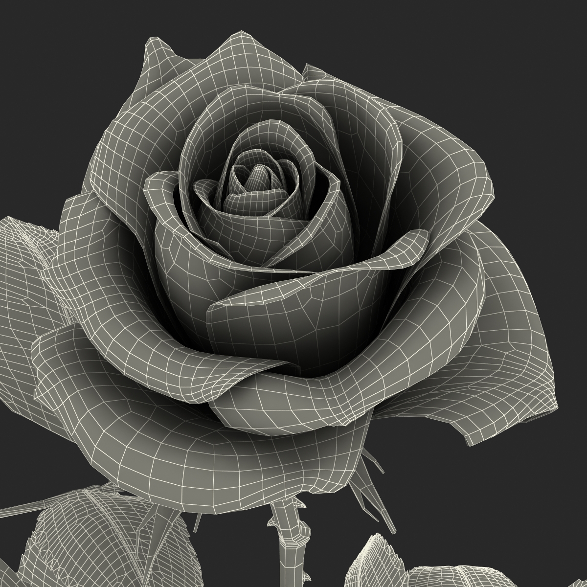 3D model Rose