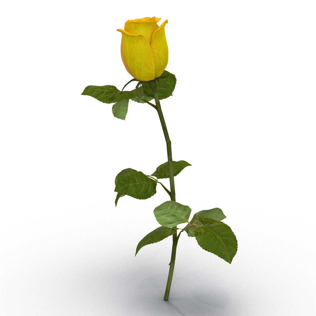 3D Rose 2 Yellow model