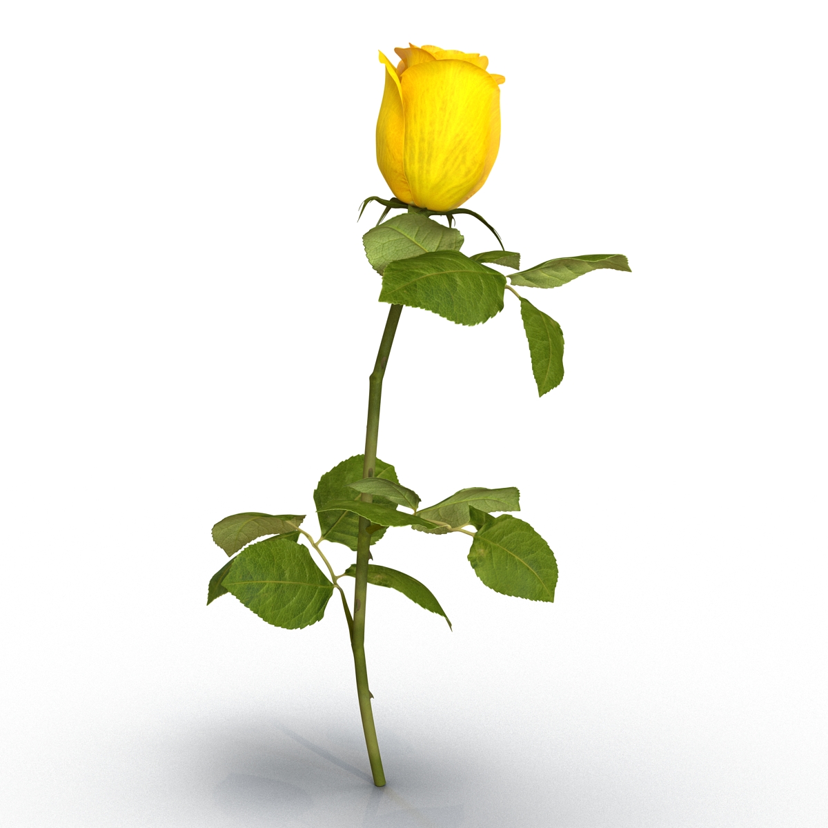 3D Rose 2 Yellow model