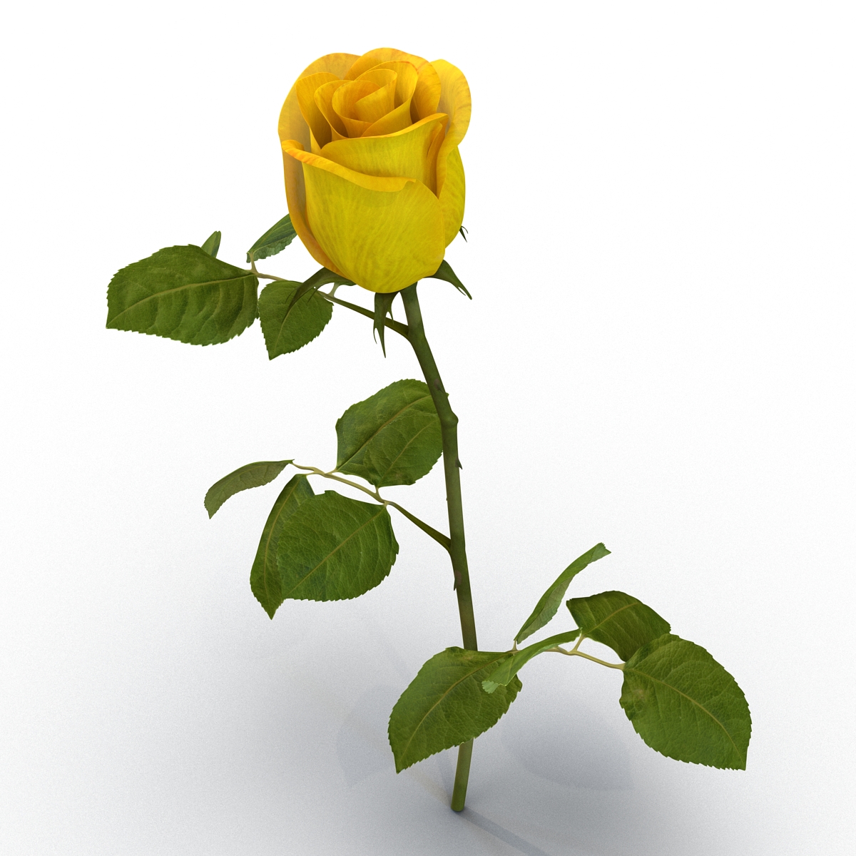 3D Rose 2 Yellow model