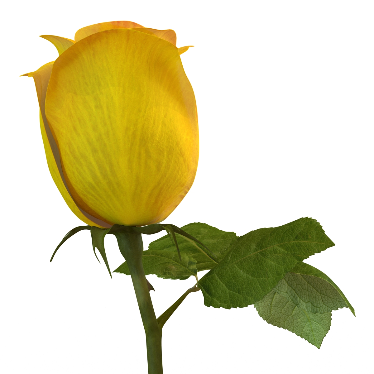 3D Rose 2 Yellow model