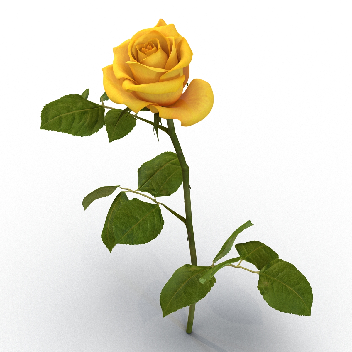 3D Rose Yellow