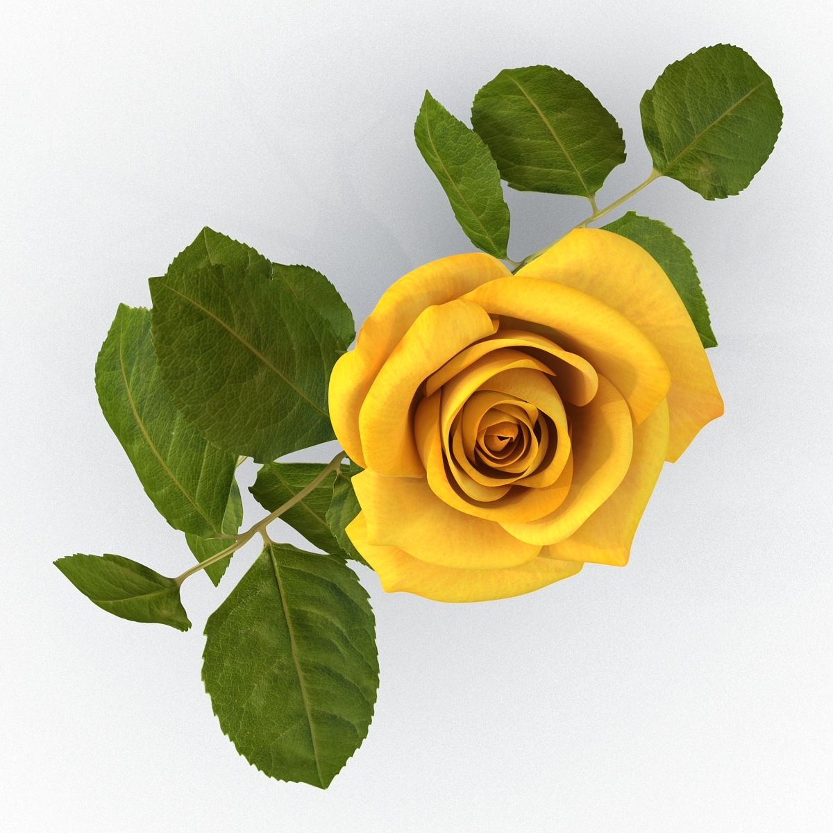 3D Rose Yellow