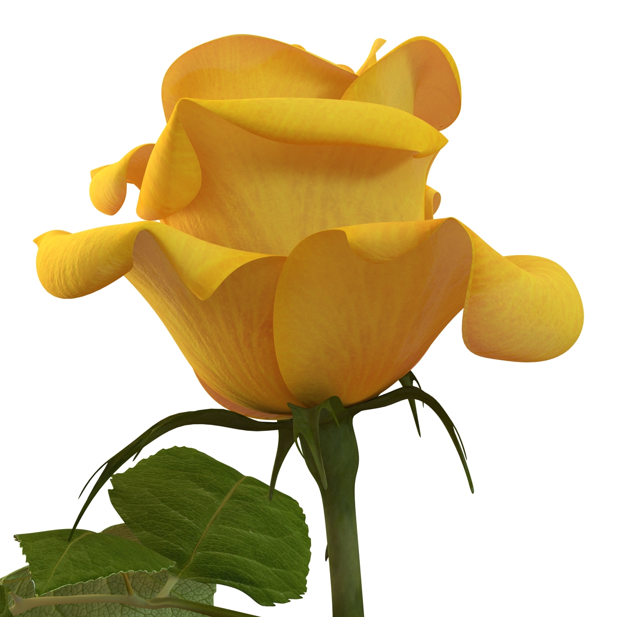 3D Rose Yellow