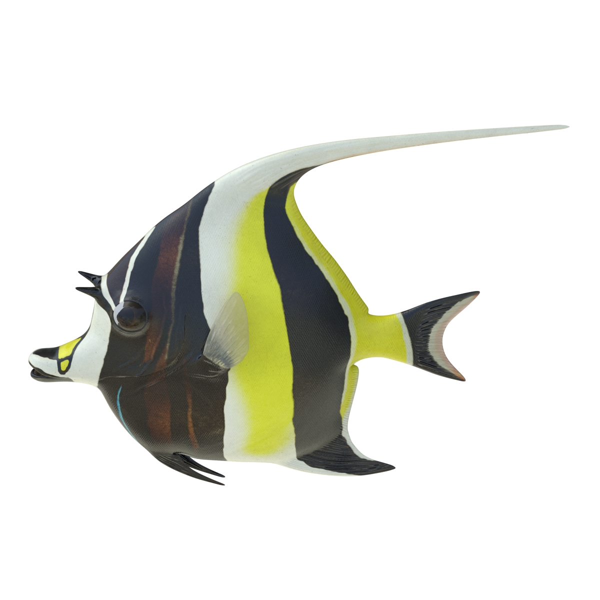 Moorish Idol Fish Rigged 3D model