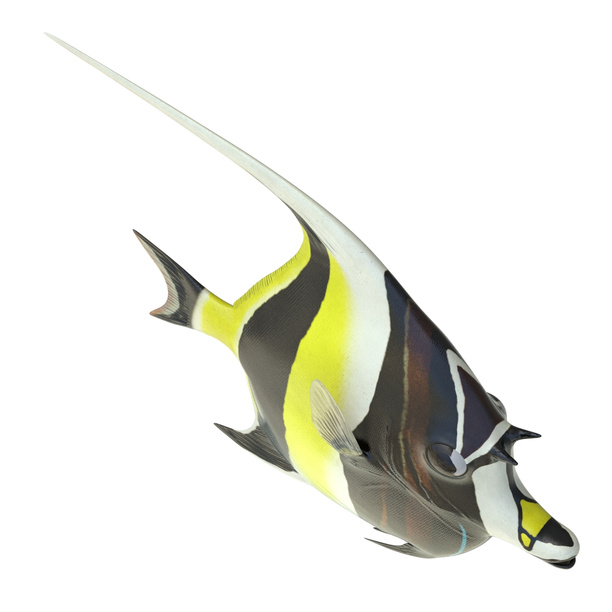 Moorish Idol Fish Rigged 3D model