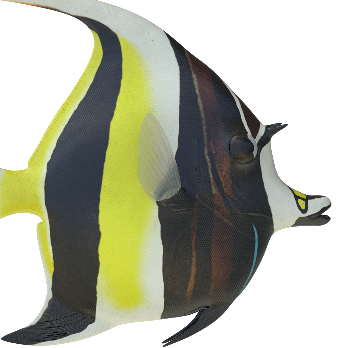 Moorish Idol Fish Rigged 3D model